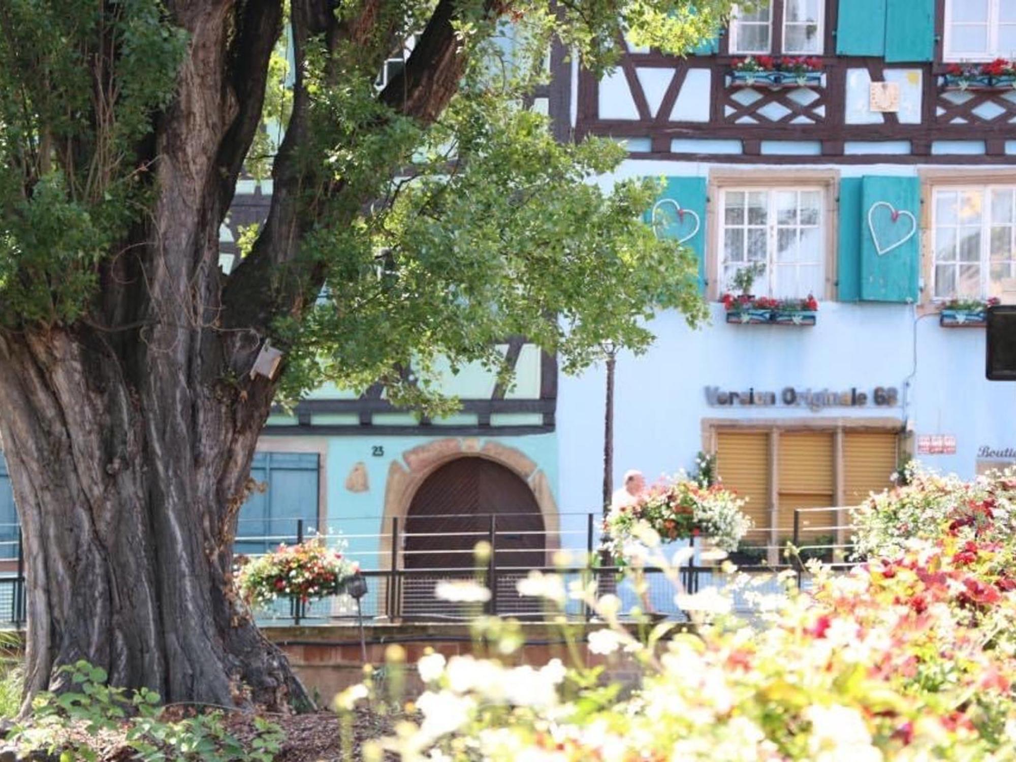 Charmant Appart Avec Garage Et Terrasse Au Coeur De Colmar, Pres De La Route Des Vins D'Alsace - Fr-1-722-6 Exterior photo